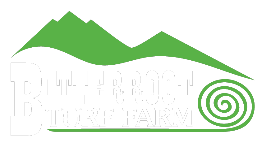 Bitterroot Turf Farm